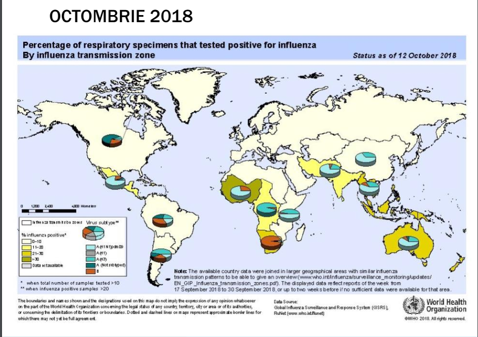 Screenshot 2024-05-08 124349